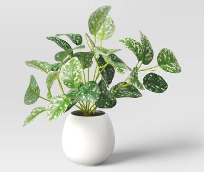 ZGBY 10  Artificial Variegated Leaf In Ceramic Pot Green - For Cheap